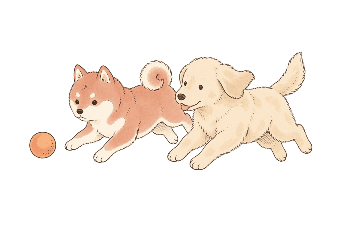 Mochi and Honey chasing the same orange ball