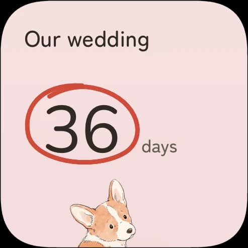 The One little day widget on an iPhone Home Screen