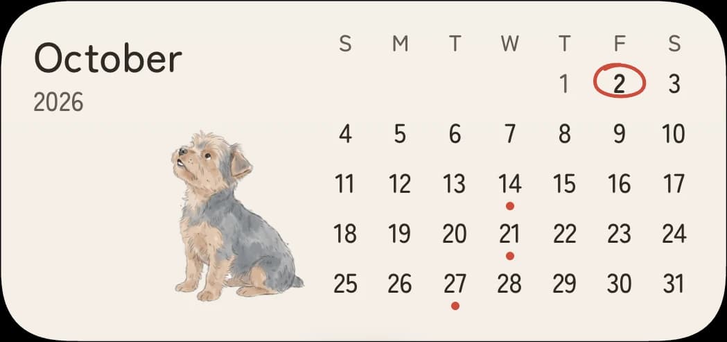 The A month of possibilities widget on an iPhone Home Screen