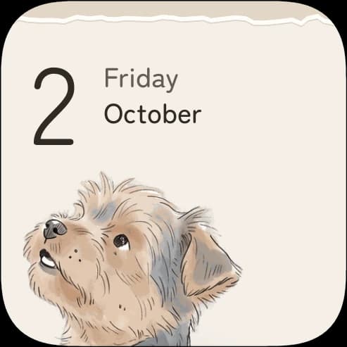 The Hello, today widget on an iPhone Home Screen