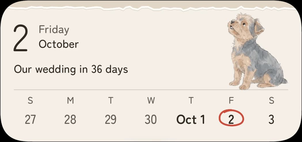 The A lovely little week widget on an iPhone Home Screen