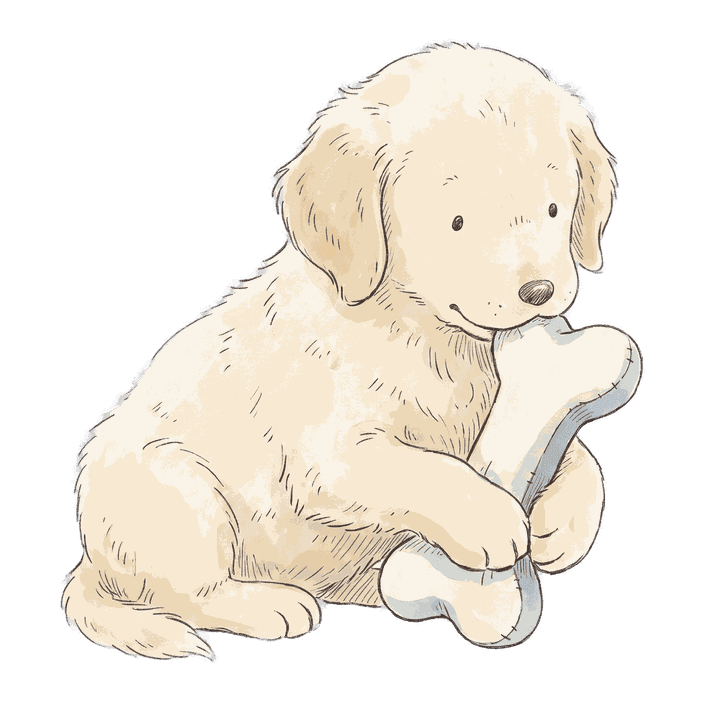 Honey, Golden retriever