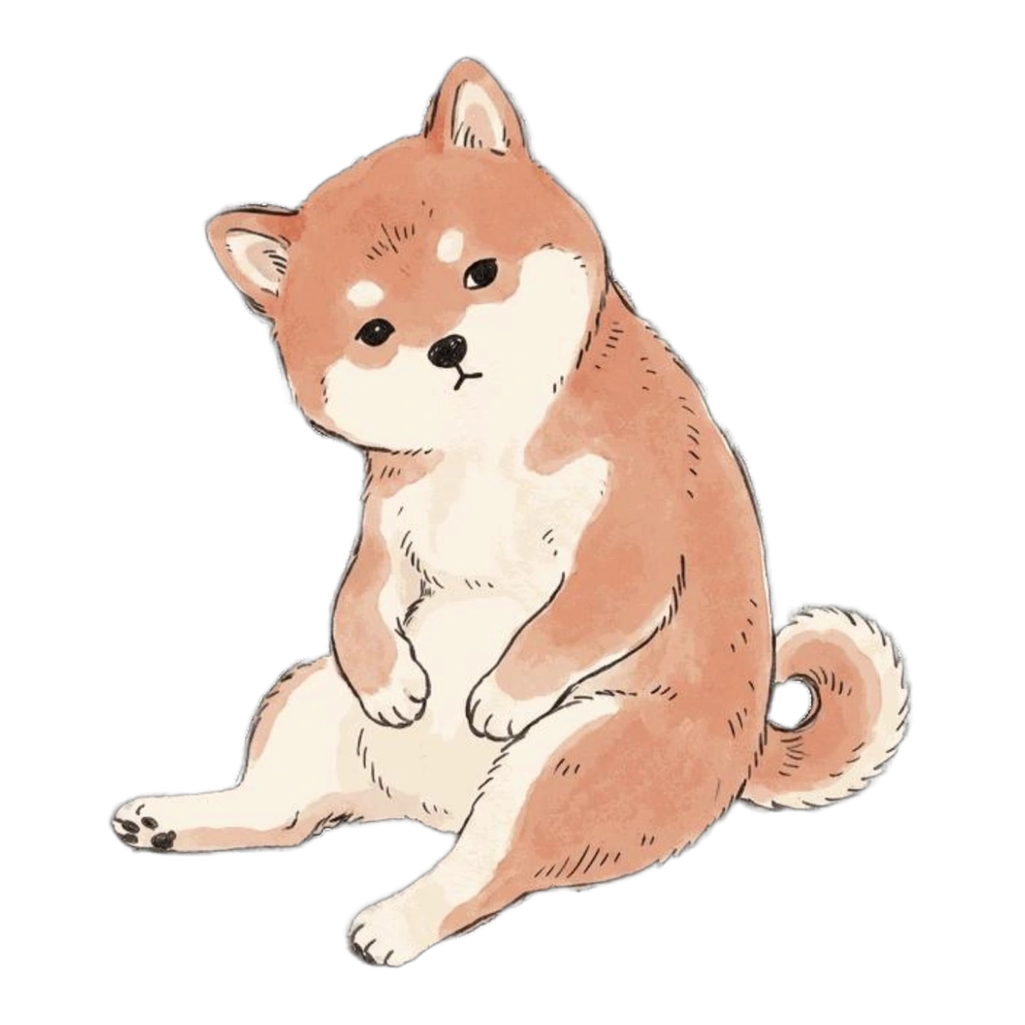 Mochi, Shiba